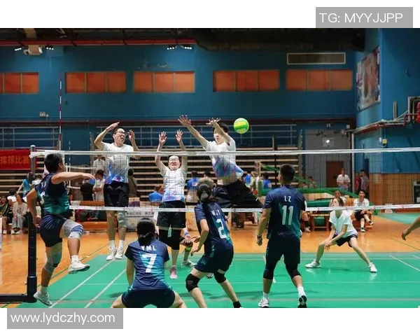 广州排球队技术解析：从基本功到战术运用的全面探讨与提升